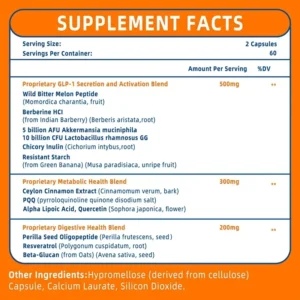 GLP-1 Supplement